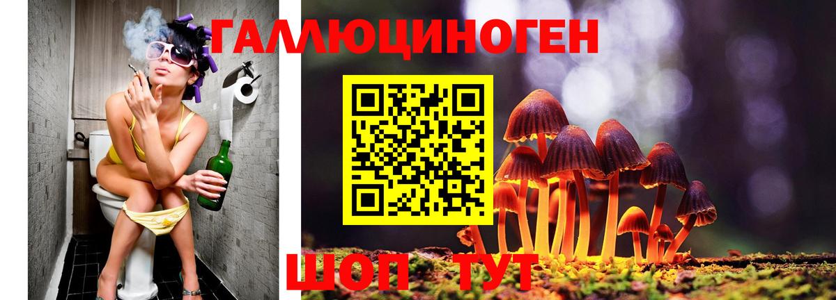 Галлюциногенные грибы Psilocybe  Вход с VPN  Красноуфимск 