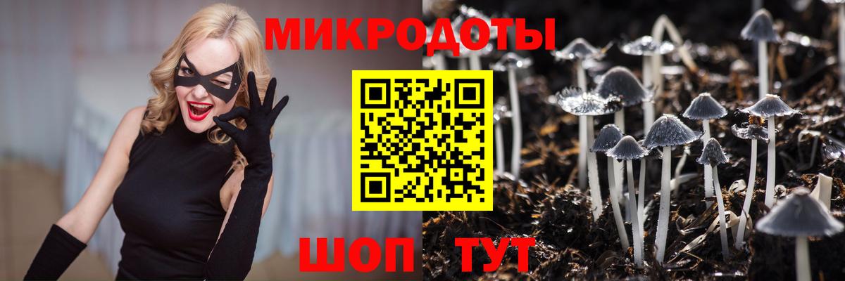 Псилоцибиновые грибы прущие грибы Красноуфимск